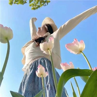 苹果橘子经济学